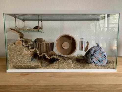 Hamster terrarium met vast voorschot en schuifruit, Animaux & Accessoires, Rongeurs & Lapins | Cages & Clapiers, Neuf, Niche, Moins de 60 cm
