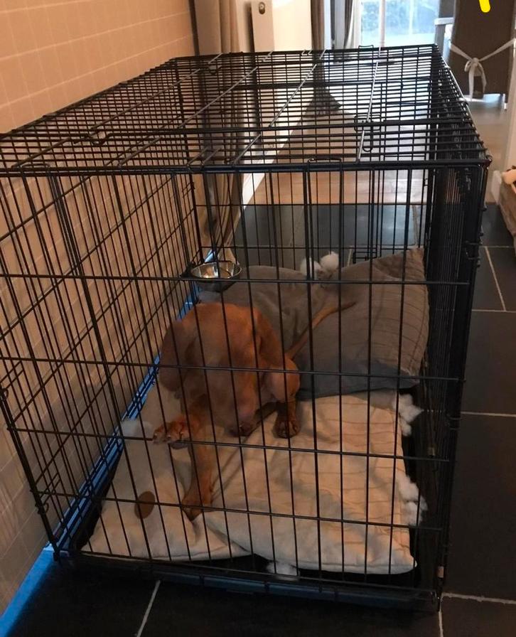 Aveve Bench XXL te koop als nieuw, Animaux & Accessoires, Maisons pour chiens, Enlèvement