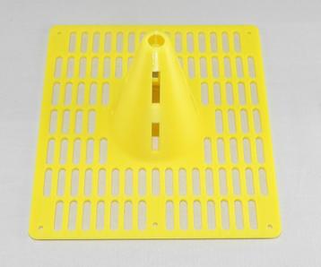 Selectieve val Aziatische Hoornaar 130x130x80mm beschikbaar voor biedingen