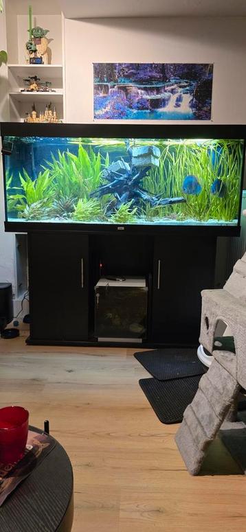 Juwel rio 450L beschikbaar voor biedingen