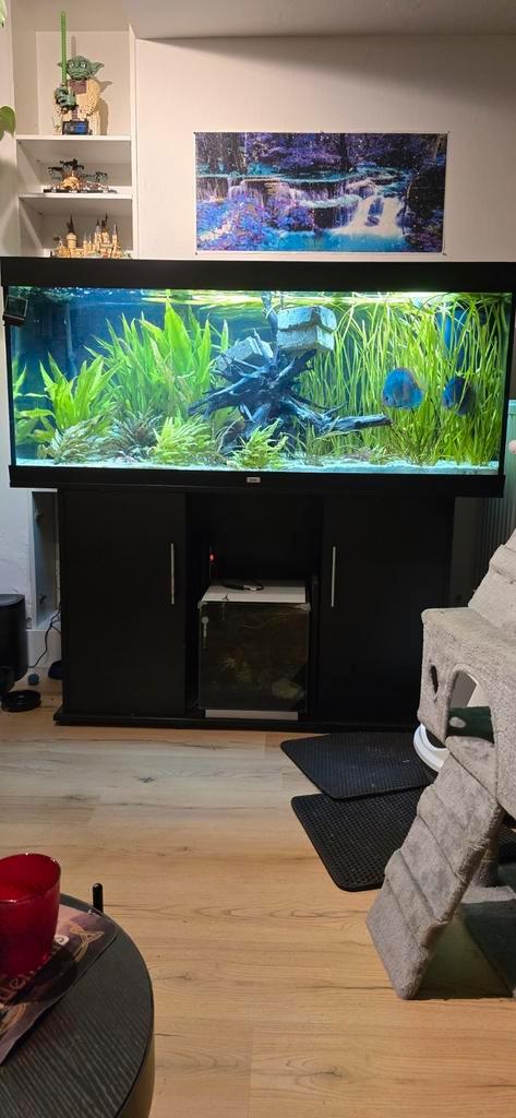 Juwel rio 450L, Dieren en Toebehoren, Vissen | Aquaria en Toebehoren, Zo goed als nieuw, Ophalen