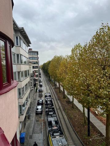 Appartement te huur in Gent, 2 slpks beschikbaar voor biedingen