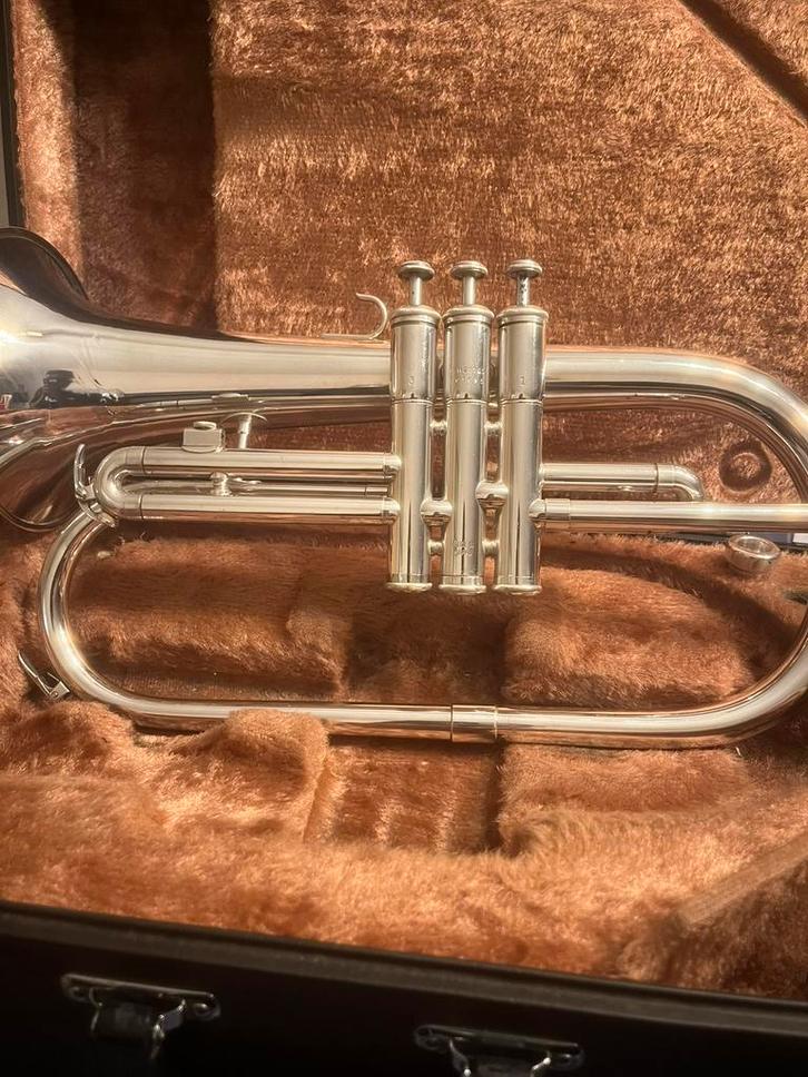 Gezocht: Yamaha bugel Yfh-231, Muziek en Instrumenten, Blaasinstrumenten | Trompetten, Gebruikt, Met koffer, Ophalen of Verzenden