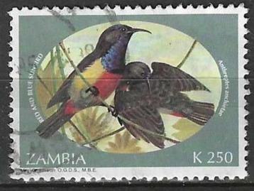 Zambia 1994 - Yvert 587 - Anchieta's honingzuiger  (ST)