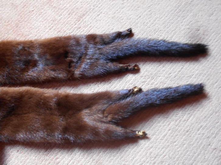 nerts, nieuwe staat, koopje 20 €, Kleding | Dames, Mutsen, Sjaals en Handschoenen, Zo goed als nieuw, Sjaal, Ophalen of Verzenden