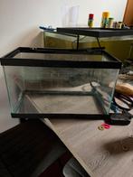6 aquaria te koop + chicliden, Enlèvement, Utilisé