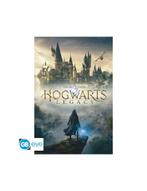 Harry Potter - Poster Maxi (91.5x61cm) - Hogwarts Legacy Key, Nieuw, Film en Tv, Vierkant, Verzenden