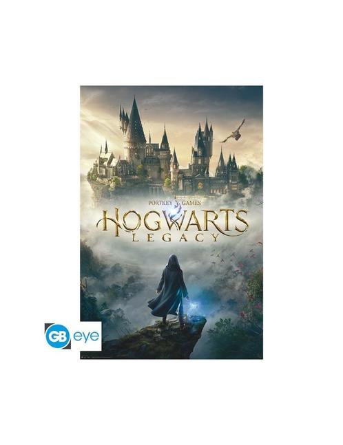 Harry Potter - Poster Maxi (91.5x61cm) - Hogwarts Legacy Key, Verzamelen, Posters, Nieuw, Film en Tv, Deurposter of groter, Vierkant