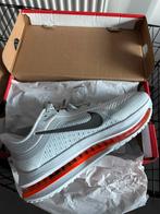 Basket, Vêtements | Hommes, Chaussures, Neuf, Enlèvement, Autres, Chaussures de sport