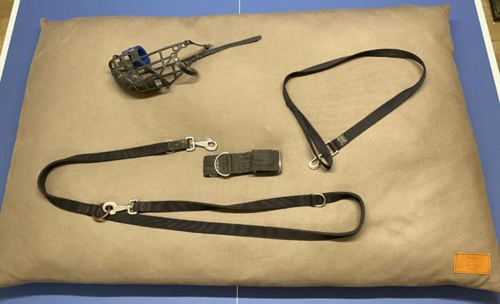 Hondenpakket voor Greyhound, Dieren en Toebehoren, Honden-accessoires, Gebruikt, Ophalen