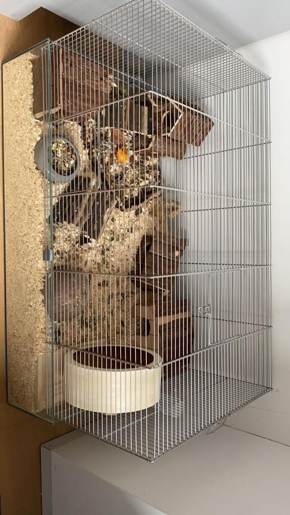 Hamsterkooi met toebehoren, Animaux & Accessoires, Oiseaux | Cages & Volières, Comme neuf, Enlèvement