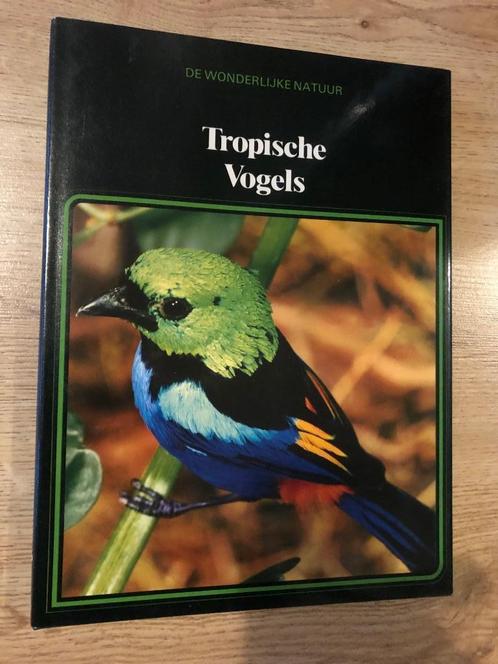 Lekturama de wonderlijke natuur : tropische vogels, Livres, Nature, Utilisé, Oiseaux, Enlèvement ou Envoi