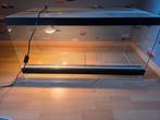 Terrarium van 1m lang, 49cm diep en 50cm hoog, incl. lamp, Dieren en Toebehoren, Ophalen, Zo goed als nieuw