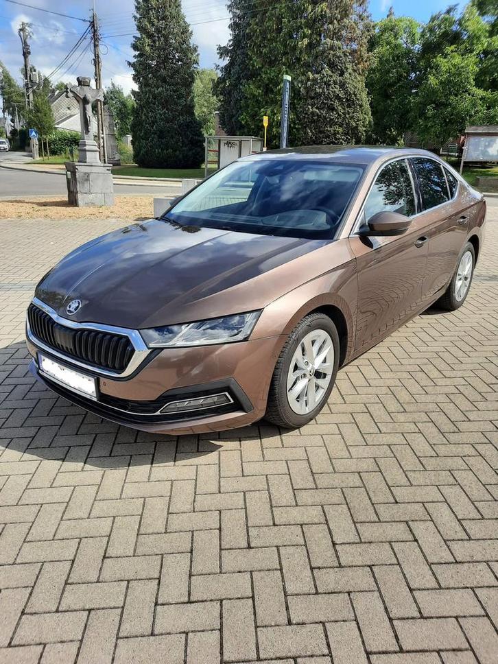Skoda Octavia Sedan, Auto's, Skoda, Particulier, Octavia, Diesel, Berline, 5 deurs, Automaat, Bruin, Zwart, Stof, Voorwielaandrijving