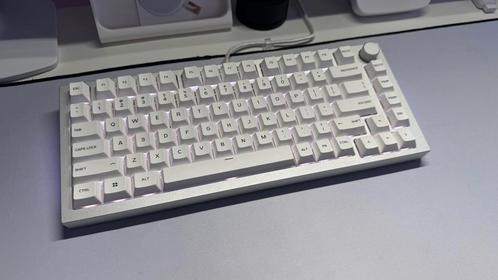 Custom Glorious GMMK Pro - Lubed Glorious Panda Switches, Computers en Software, Toetsenborden, Zo goed als nieuw, Qwerty, Bedraad