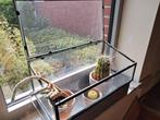 Miniserre met cactussen, Ophalen, Gebruikt, Aluminium, Kweekkas