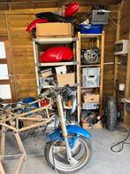 Ducati Monster 600 1996 (project), Motoren, 2 cilinders, Particulier, 600 cc, Naked bike