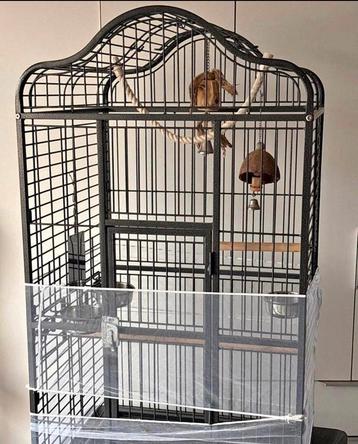 Grande cage pour perroquet / oiseaux exotiques beschikbaar voor biedingen
