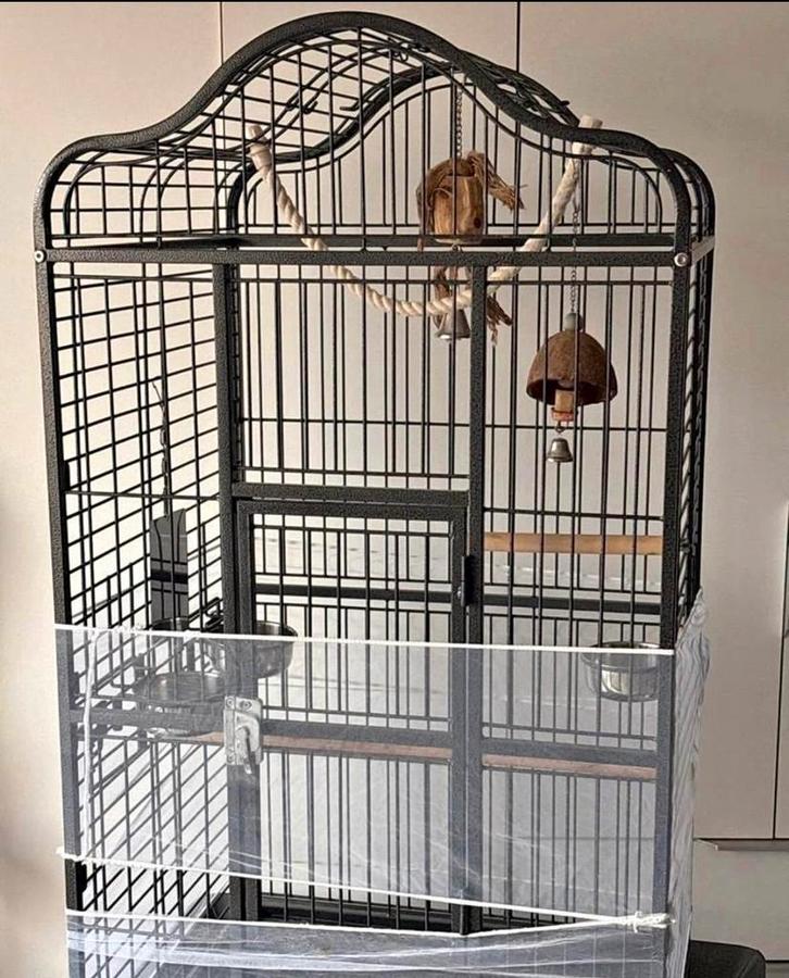 Grande cage pour perroquet / oiseaux exotiques, Dieren en Toebehoren, Vogels | Hokken en Kooien, Ophalen