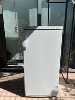 Miele Elektronische Vriezer – Vrijstaand Model, Ophalen, Gebruikt