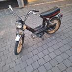 morini franco motori, Klasse A (25 km/u), 1 versnellingen, 50 cc, Ophalen
