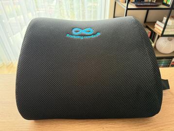 Oreiller lombaire / Lumbar Support Pillow  beschikbaar voor biedingen