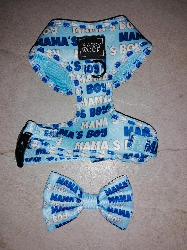 Nieuwe set voor honden, Dieren en Toebehoren, Hondenriemen, Zo goed als nieuw, Ophalen