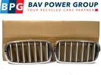 GRILLE SET ROOSTER NIEREN LINKS RECHTS BMW X5 (F15), Gebruikt, BMW