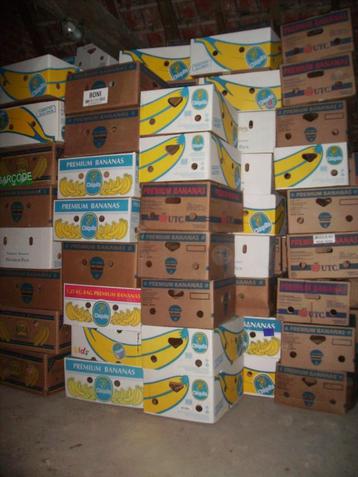 Boîtes à bananes réutilisables avec insert en carton solide.