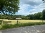 Weide 5730m2 te huur, Dieren en Toebehoren, Weidegang, 2 of 3 paarden of pony's