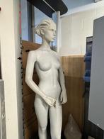 Mannequin, Ophalen, Zo goed als nieuw, Paspop