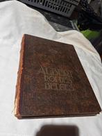Boek Albert Roi des Belges, Verzamelen, Ophalen of Verzenden, Zo goed als nieuw
