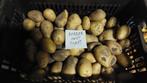 Aardappelen, Ophalen