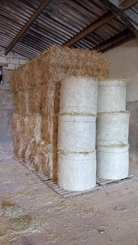 hooi, voordroog, Zakelijke goederen, Landbouw | Veevoer, Verzenden