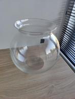 Visbokaal, Dieren en Toebehoren, Vissen | Aquaria en Toebehoren, Ophalen