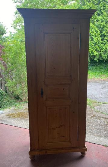 Volhouten kast met deur beschikbaar voor biedingen