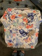 Trui terre bleue 3/4 mouwen mt 36 perfecte staat, Overige kleuren, Terre Bleue, Ophalen of Verzenden, Zo goed als nieuw