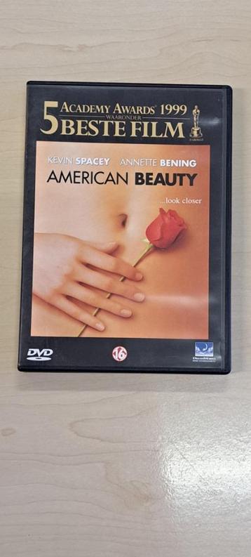 American beauty beschikbaar voor biedingen