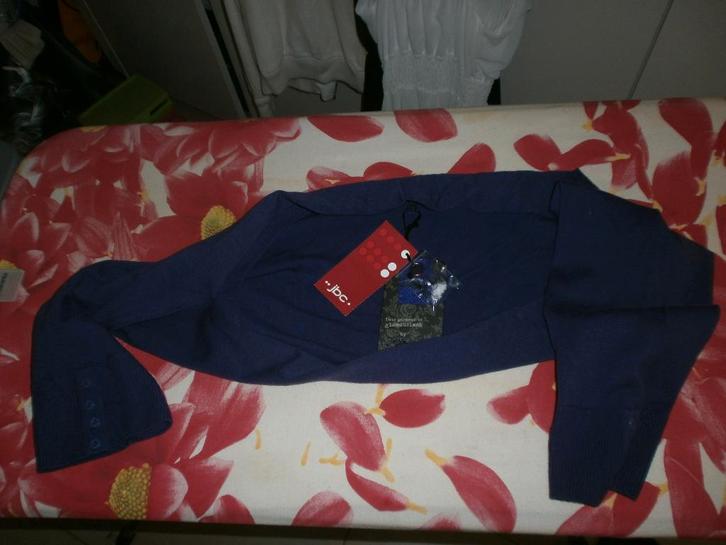 Gilet court violet L / XL NEUF, Kleding | Dames, Truien en Vesten, Nieuw, Maat 42/44 (L), Paars, Ophalen of Verzenden