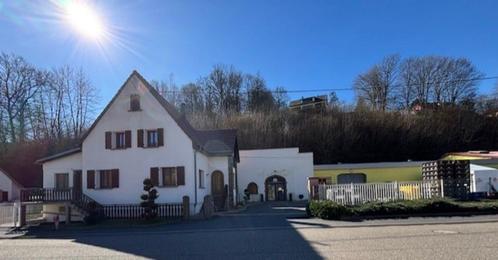 woonhuis en bedrijfspand te koop, Immo, Buitenland, Frankrijk, Woonhuis, Dorp