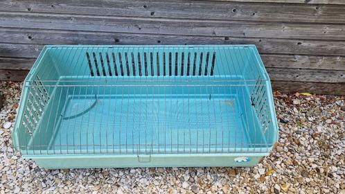 Dierenhok, Dieren en Toebehoren, Knaagdieren en Konijnen | Hokken en Kooien, Gebruikt, Kooi, Minder dan 60 cm, 75 tot 110 cm, Cavia