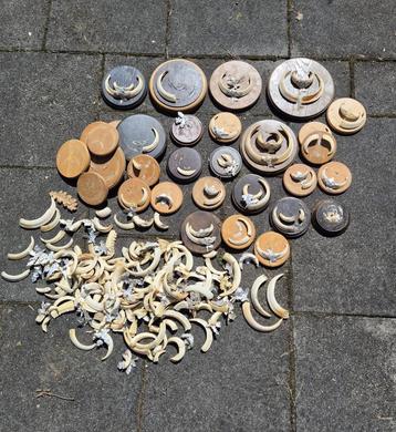 Opruiming Heel Veel Wild Zwijn Tanden en Schildjes jacht b84 beschikbaar voor biedingen