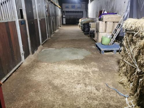 Stalling paarden 150 €, Dieren en Toebehoren, Stalling en Weidegang, Stalling