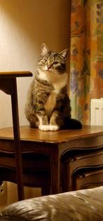 recherche logement