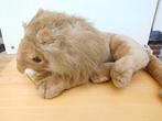 Knuffel leeuw 50 x 30 x 25 cm, Kinderen en Baby's, Ophalen of Verzenden, Overige typen