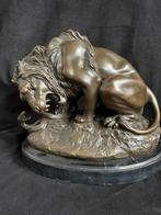 Groot bronzen leeuw met slang A.Barye/stempel 9,5 kg brons, Enlèvement ou Envoi
