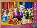 Puzzle 1000 p. Kitten pride, Hobby & Loisirs créatifs, Sport cérébral & Puzzles, Puzzle, Enlèvement