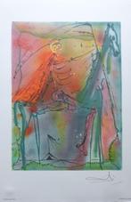 SALVADOR DALI / CHEVAUX DE DALI / KLEURLITHO / 56x36cm 1983, Antiek en Kunst, Kunst | Litho's en Zeefdrukken, Ophalen of Verzenden