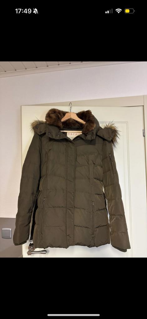 Winterjas van Esprit, Kleding | Dames, Jassen | Winter, Zo goed als nieuw, Maat 42/44 (L), Overige kleuren, Ophalen