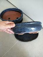 2 blauwe bonsai potten met schaal, Ophalen